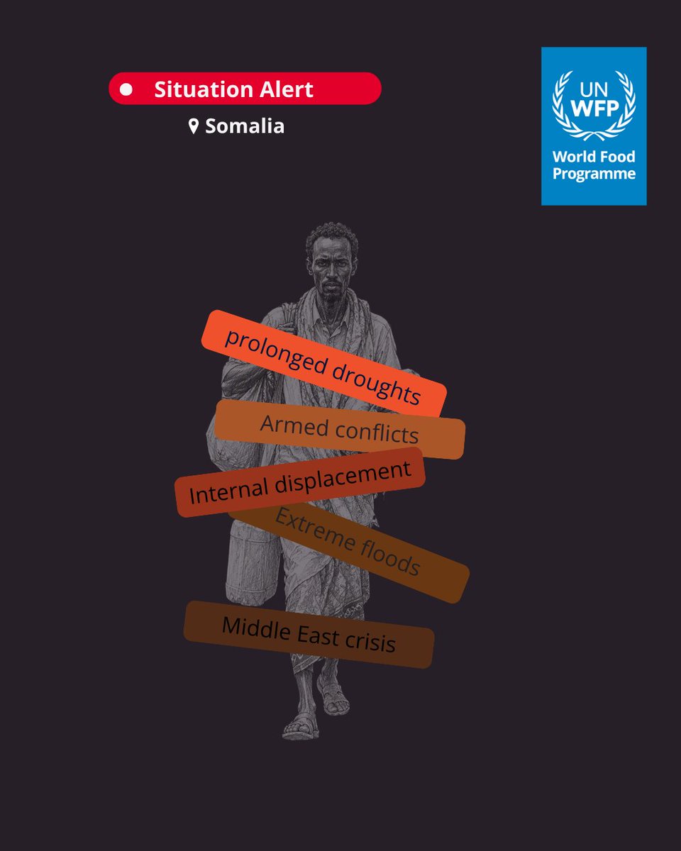 WFPSomalia's tweet photo. Families across Somalia are running out of options. As crisis after crisis hits, parents are skipping meals, selling assets and leaving their homes in search of help. Without urgent action, more families will fall deeper into hunger and face greater risks. https://t.co/CoIcPgCuyP