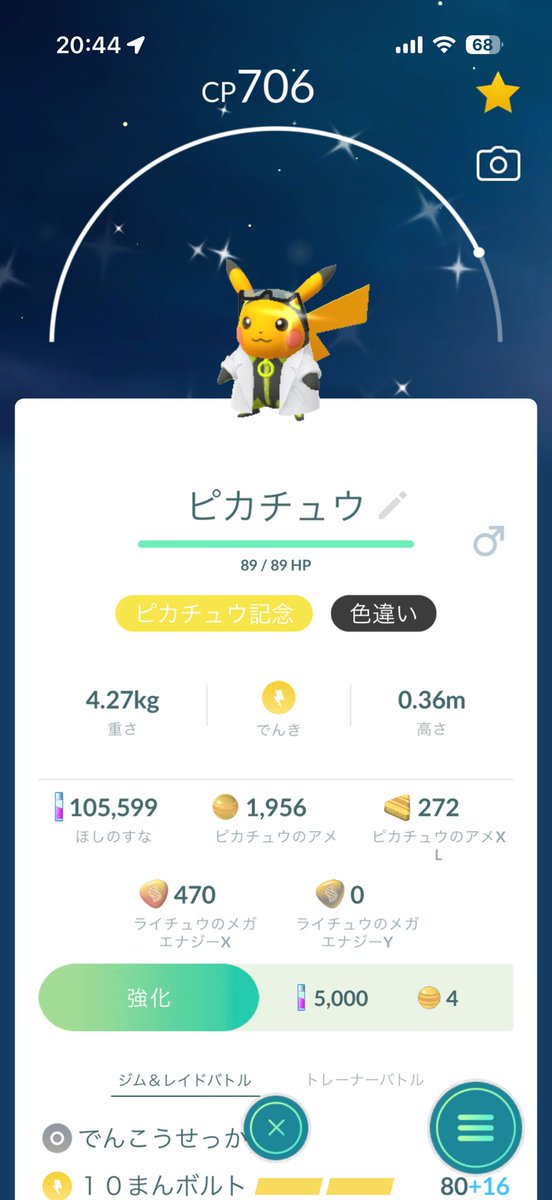猫の爪 tweet media