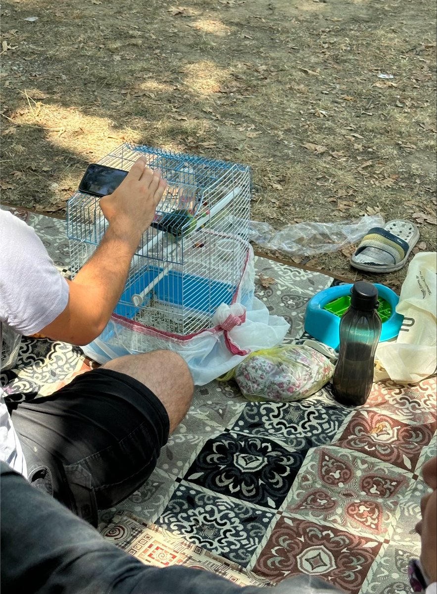 missskipperr's tweet photo. Bizim insanımızın hayvan sevgisini kimse sorgulamasın 😅 Pikniğe muhabbet kuşu getirmişler 🙈 https://t.co/9PJGmLTQa2