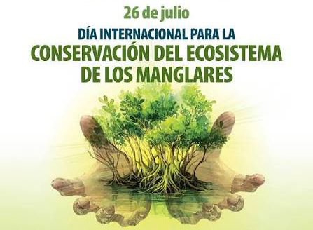 finculca1's tweet photo. Sabías que cada 26 de julio se celebra el Día Internacional de Conservación del Ecosistema de Manglares, una fecha establecida oficialmente por la UNESCO en 2015 tras un acuerdo inicial en 1998 en memoria del activista Hayhow Daniel Nanoto. Su meta principal es proteger. https://t.co/wOzhwDJsHU