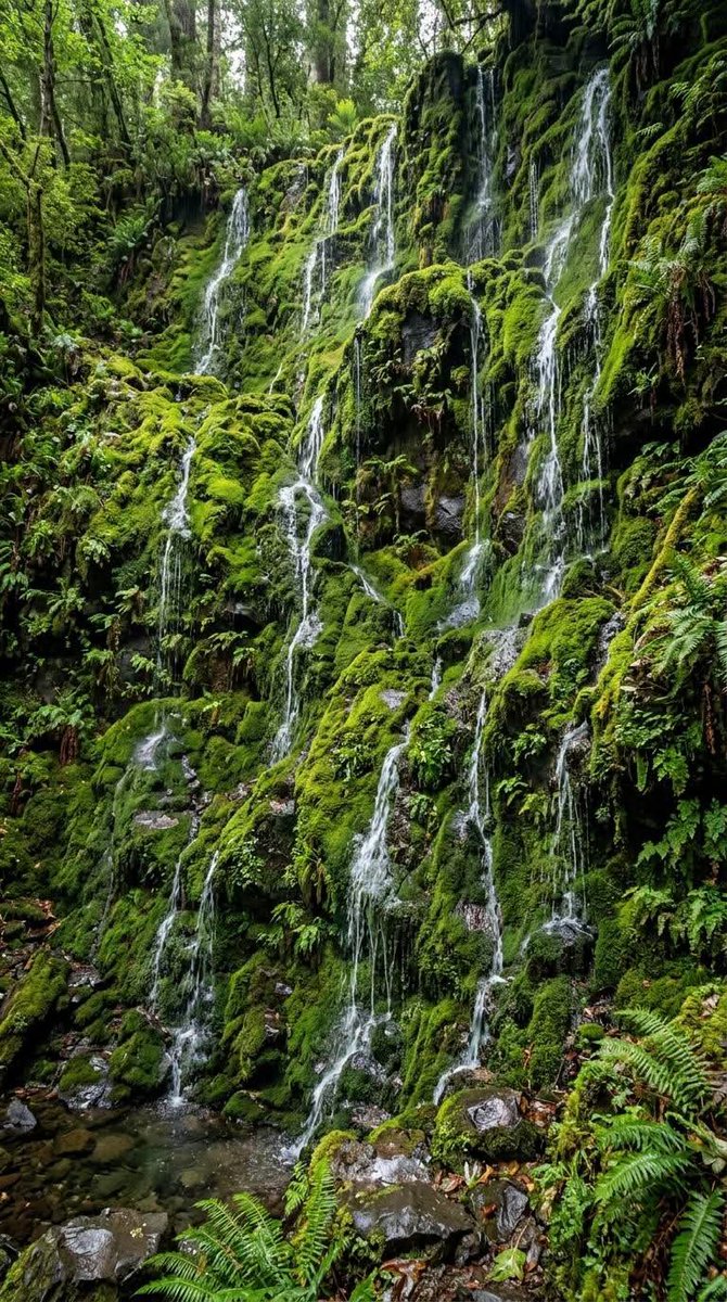 DNatives67667's tweet photo. A peaceful mind grows where gratitude lives🍃 https://t.co/tBlmpnO7d3