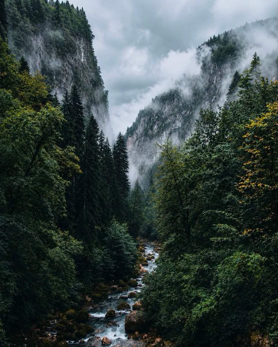 DNatives67667's tweet photo. A peaceful mind grows where gratitude lives🍃 https://t.co/tBlmpnO7d3