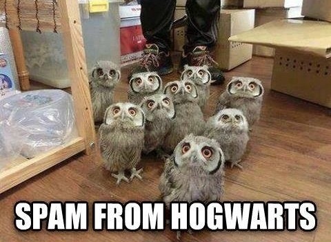 PotterWorldUK's tweet photo. A wizard's email inbox. https://t.co/F8F97ImOZI