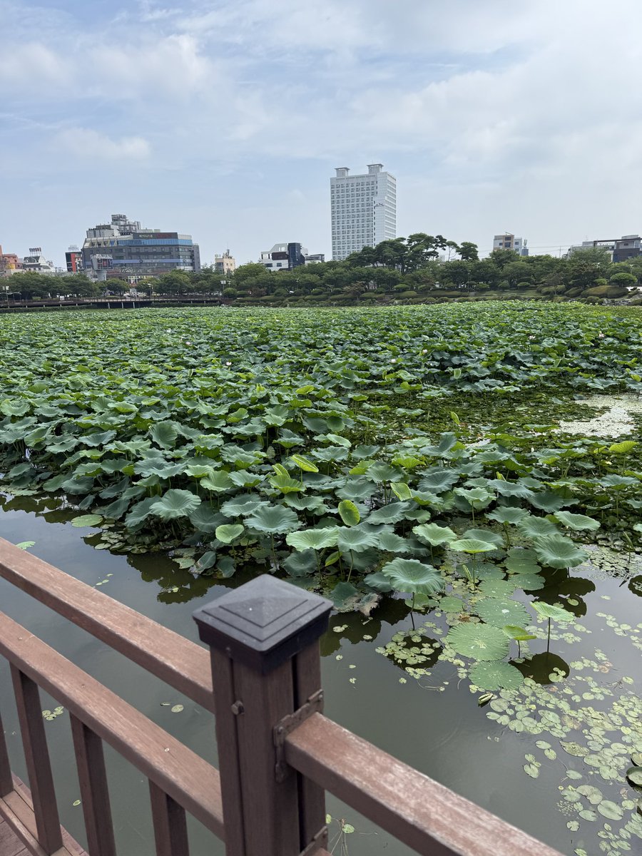 배츠마루 tweet media