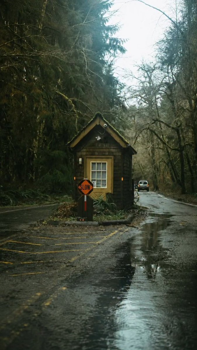 flower6260's tweet photo. Pacific Northwest https://t.co/UwepGkxlaF
