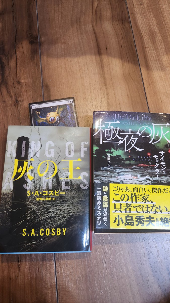 sandman0083's tweet photo. 『極夜の灰』読了
これは…最高‼️もう一回読んでも楽しめる。とても読みやすい👍

『灰の王』著:S⋅Aコスビー
本日購入、初手から不穏…🚑
読書初心者なので小島秀夫監督のおすすめを真似して買ってます😌

灰から灰へ https://t.co/vvdjrzQNtS