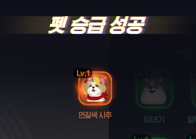 애숭 tweet media