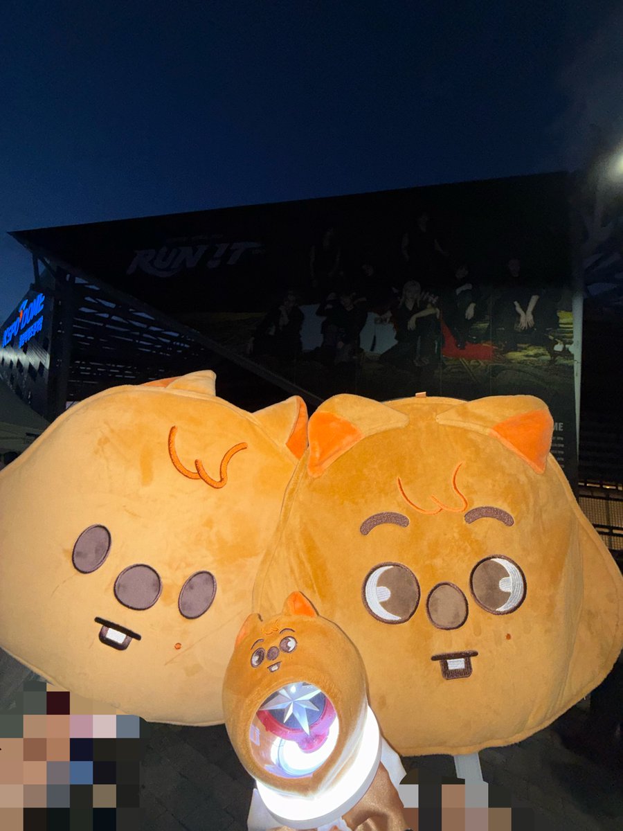 dxstty's tweet photo. ㅎㅎㅎㅎ 한프 ♡ 먼지 ㅜ ㅜ https://t.co/c28jgI8sbw