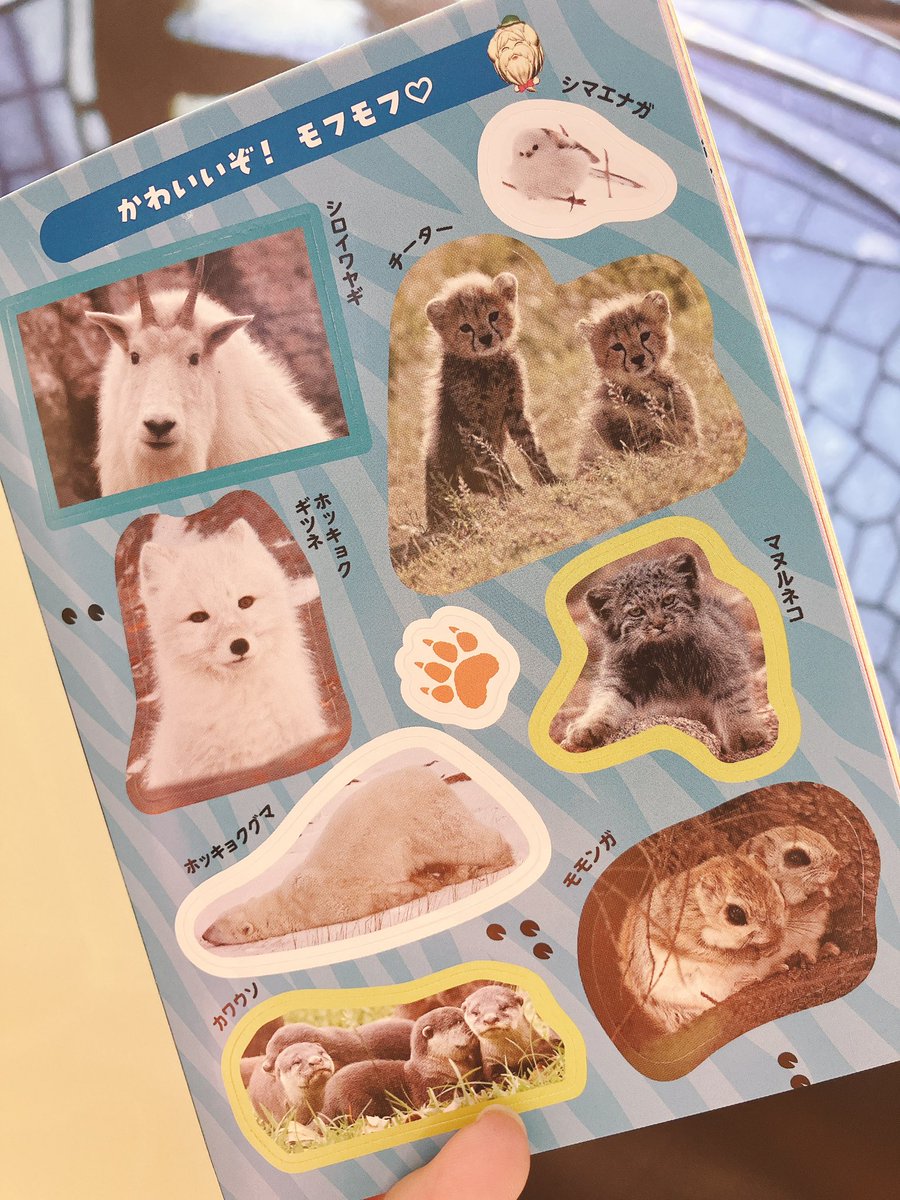 THESTUDYROOMuen's tweet photo. 📚新しい書籍たちがやってきました📚

ダーウィンが来た！のシールブックはいろんな動物たちの最高の瞬間がシールになっています！可愛すぎる…！✨

他にも虫の裏側が見れちゃう図鑑や分かりやすく色んな虫について学べつつ４コマ漫画も楽しめる書籍などなど…
虫と夏を楽しみましょう☀️

スタッフ🐍 https://t.co/t79ufBNURE