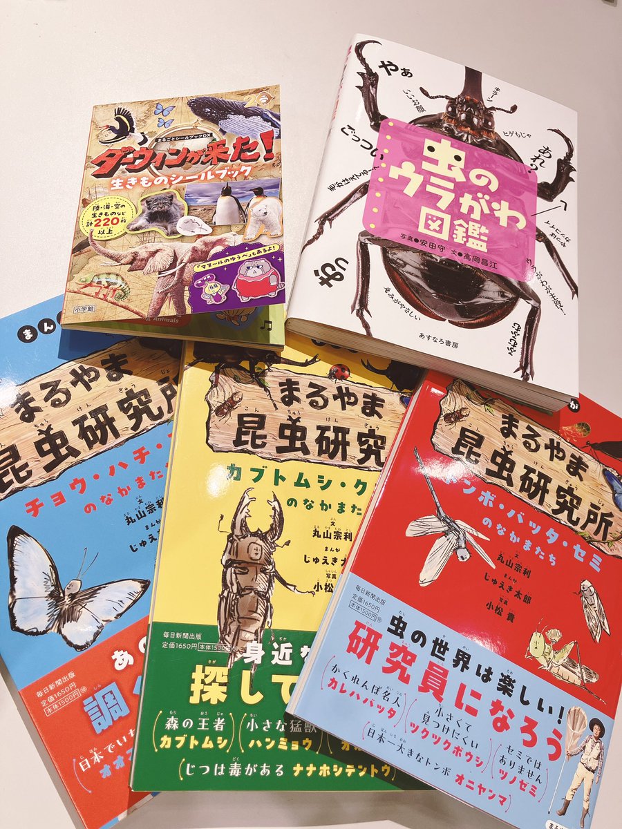 THESTUDYROOMuen's tweet photo. 📚新しい書籍たちがやってきました📚

ダーウィンが来た！のシールブックはいろんな動物たちの最高の瞬間がシールになっています！可愛すぎる…！✨

他にも虫の裏側が見れちゃう図鑑や分かりやすく色んな虫について学べつつ４コマ漫画も楽しめる書籍などなど…
虫と夏を楽しみましょう☀️

スタッフ🐍 https://t.co/t79ufBNURE