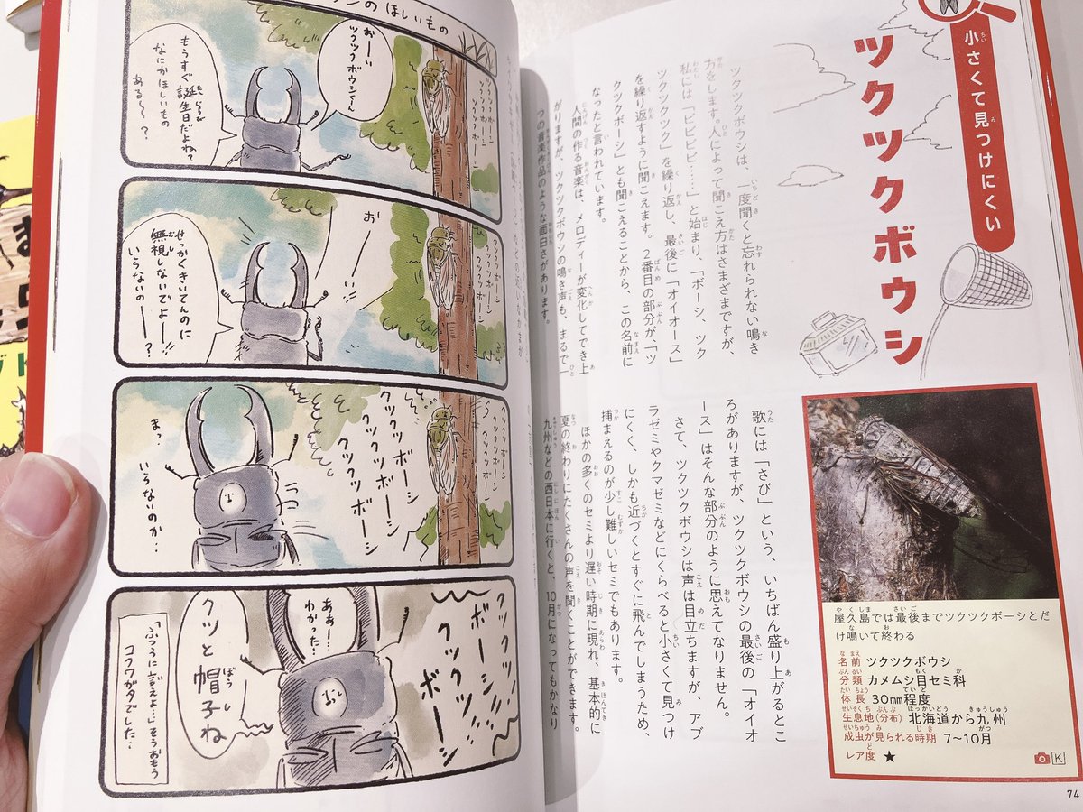 THESTUDYROOMuen's tweet photo. 📚新しい書籍たちがやってきました📚

ダーウィンが来た！のシールブックはいろんな動物たちの最高の瞬間がシールになっています！可愛すぎる…！✨

他にも虫の裏側が見れちゃう図鑑や分かりやすく色んな虫について学べつつ４コマ漫画も楽しめる書籍などなど…
虫と夏を楽しみましょう☀️

スタッフ🐍 https://t.co/t79ufBNURE