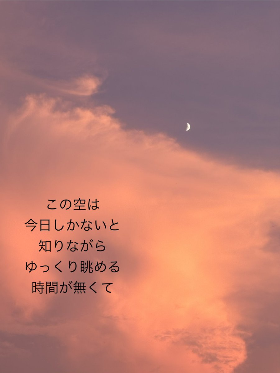 kn9676354's tweet photo. さんぽの記録を残している
こんな感じに
🐾𓏸𓈒(ง ˙˘˙ )ว

 #小さなソロ活を楽しむのだ https://t.co/uvq4PMVj8o