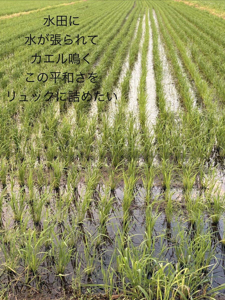 kn9676354's tweet photo. さんぽの記録を残している
こんな感じに
🐾𓏸𓈒(ง ˙˘˙ )ว

 #小さなソロ活を楽しむのだ https://t.co/uvq4PMVj8o