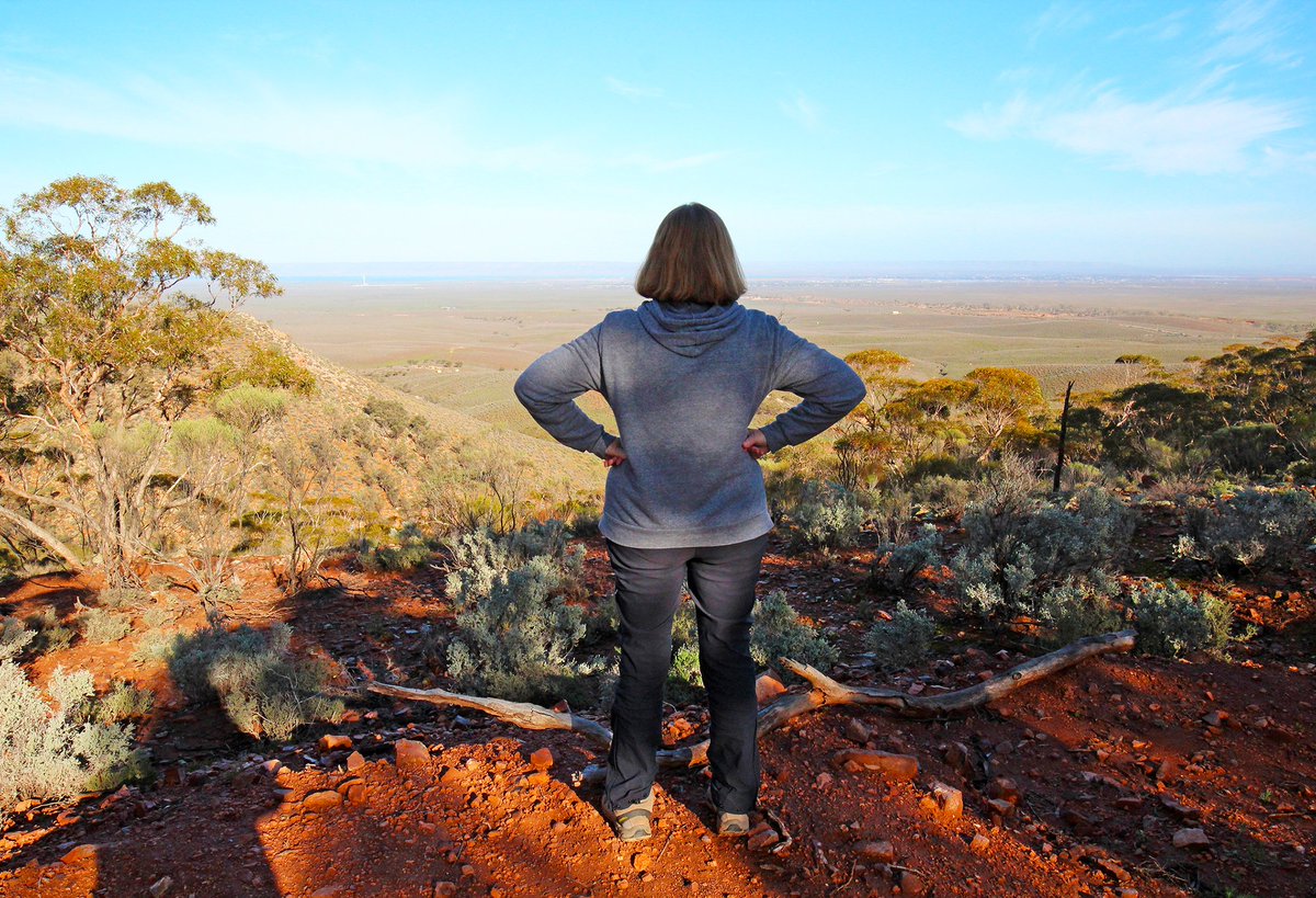 SandyHorne61's tweet photo. I might be a bit quiet for the next week.
I'll be here - or nearby.
This is at the top of the hill on the farm, looking out over Spencer Gulf.
Might take some wine up to this spot and watch the sunset.
Y'all behave while I'm gone, okay? https://t.co/rbh3KCzMwL
