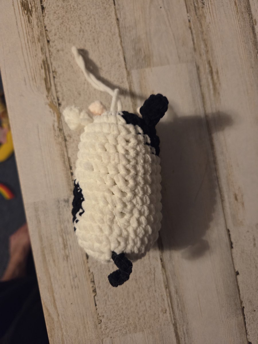 TheSprinklesCat's tweet photo. Meowmy got me a new mini me! But she says it is more a decoration instead. It is a little cow that looks a little bit like me! It will probably end up in my catio! Hope mew have a purrfect #SundayFunday! #cowcat #CatsOfTwitterX #AdoptDontShop #StaySafeFurrends https://t.co/DZ7EPWZ2du