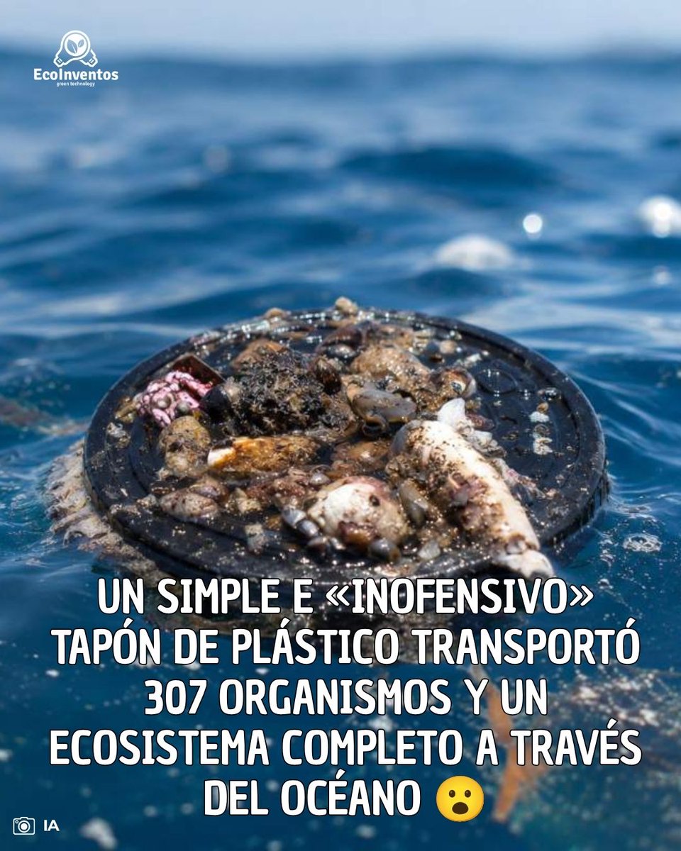 EcoInventos's tweet photo. Un simple e «inofensivo» tapón de plástico transportó 307 organismos y un ecosistema completo a través del océano 😮

https://t.co/mebygqxSP3 https://t.co/DU89BHvH4d