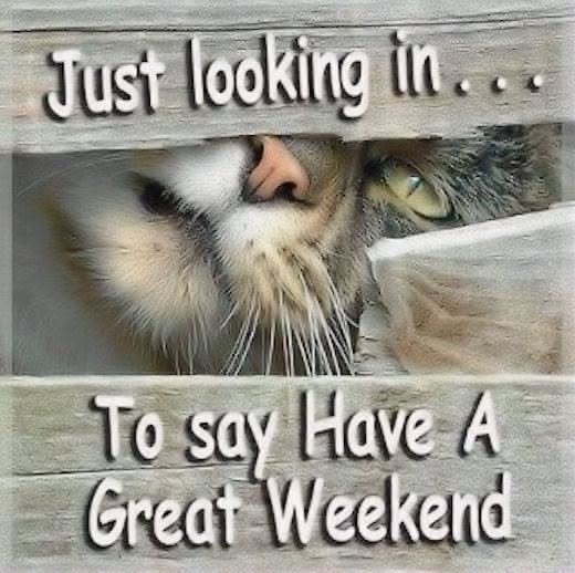 DanielBrowbbqv's tweet photo. i don't like going out often, but when i feel so locked up in my house, my heart craves to feel the outside air. I usually hate going to parks, but i think i liked this one. Is it me or don't ladybugs look cute?
@piedadfrergpy look at this https://t.co/dFsGVBVTh4