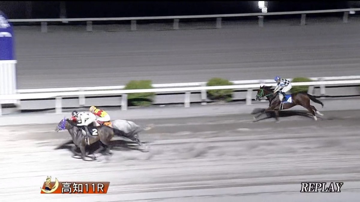 shr7861's tweet photo. 高知11R
一発逆転ファイナルレース。

◎4 トドイワウインド (8番人気)3着🎯

三連複でも万馬券🎯
三連単5万馬券🎯

馬連も欲しかったけど、
いい感じの狙いでした https://t.co/zIq2NiAShE