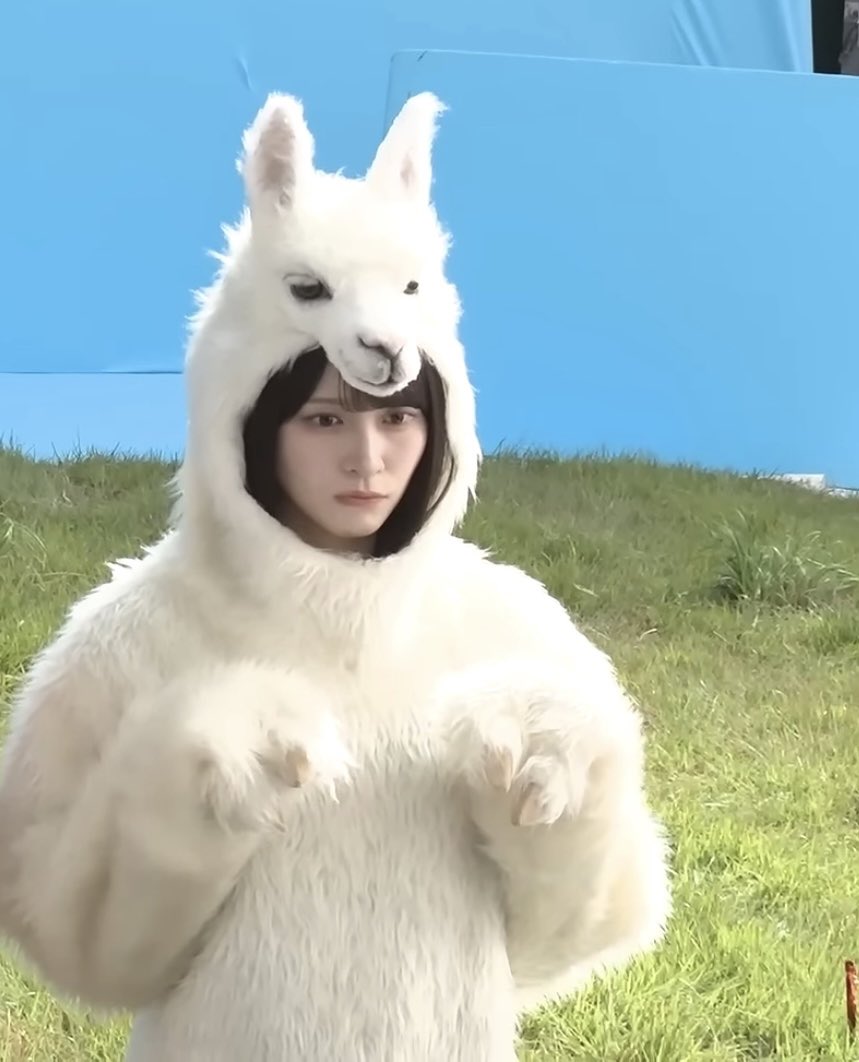 七瀬🧸🫧 tweet media