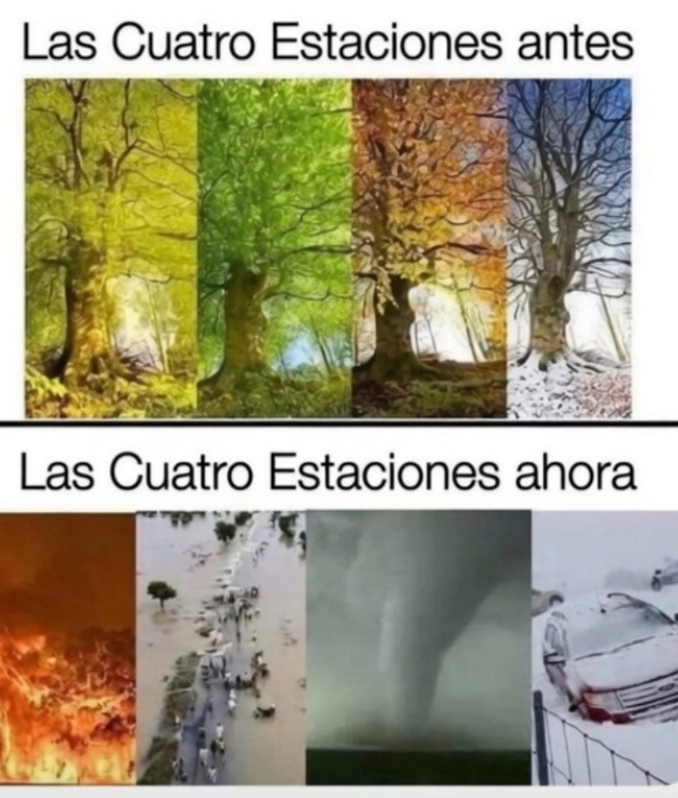 Ana_LaPatata tweet media