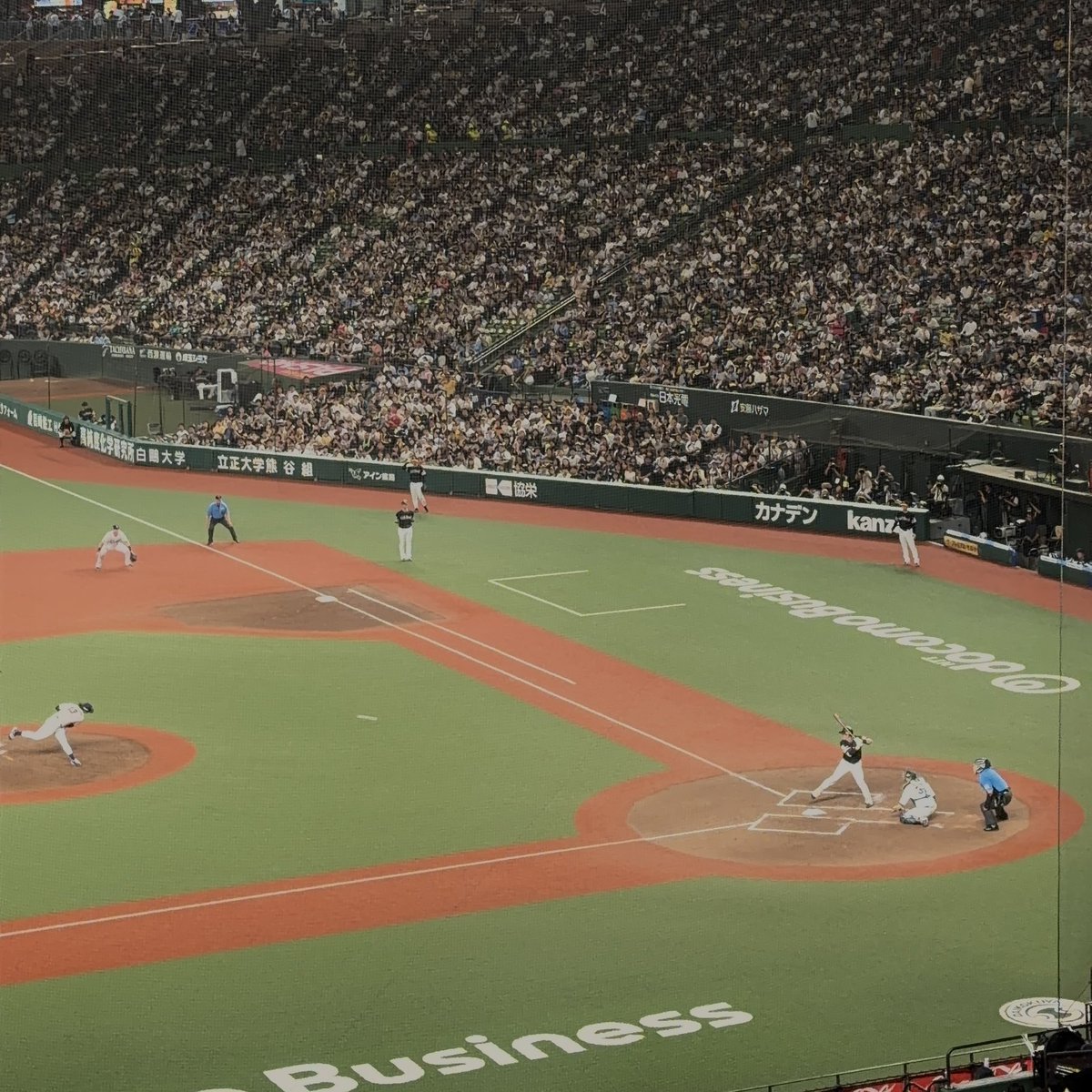 44gir1's tweet photo. 今日3塁内野Sから観たんだけど周り鷹党ばっかりで？？？？状態だった https://t.co/AtdLQ0OdnA
