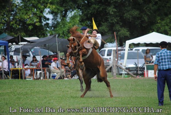 tradiciongaucha's tweet photo. 📸 #FotoDelDía #Jineteada #Tradición
https://t.co/JAtNwCT7Na https://t.co/OIgVhMfTew