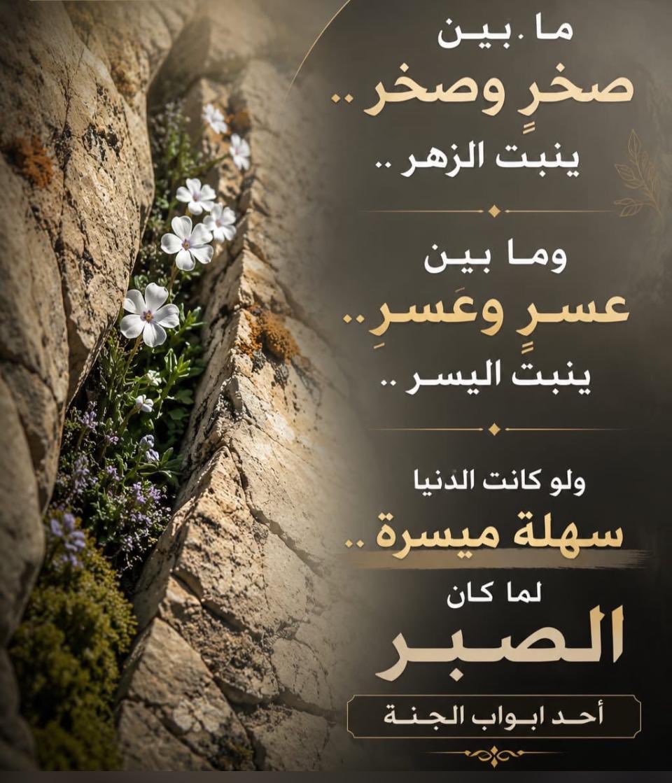 absaghir's tweet photo. https://t.co/LpmL9TPalA