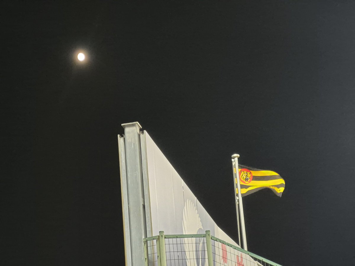 4O_hitoritabi's tweet photo. 勝負が決まったあとビジター席から3アルに向けてウル虎ユニ2枚とゴミを繰り返し投げつけてきた🐰ファンの青年に二度と甲子園のチケットが手に入りませんように🙏
首位で折り返し✨
ウル虎とらほー🐯 https://t.co/QjqaJrqgeT