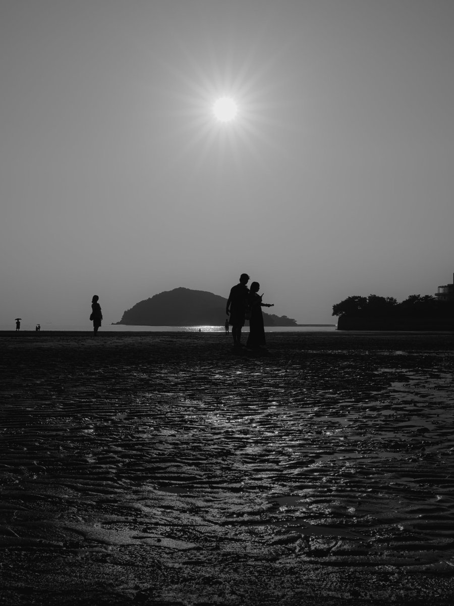 chi___chauchau_'s tweet photo. #モノクロ #monochromephotography #monochrome https://t.co/Xn6mqKbeGu