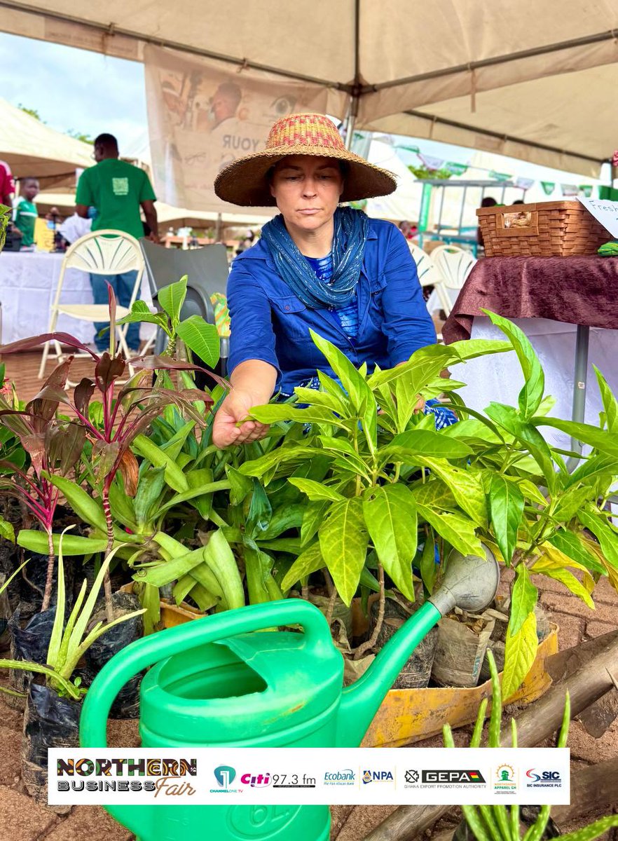 Citi973's tweet photo. 📸 Bringing nature to the fair! Beautiful ornamental plants on display at the Northern Business Fair. 

#NorthernBusinessFair2026 #ChannelOneTV #CitiFM #Tamale https://t.co/1A29tj9xTb
