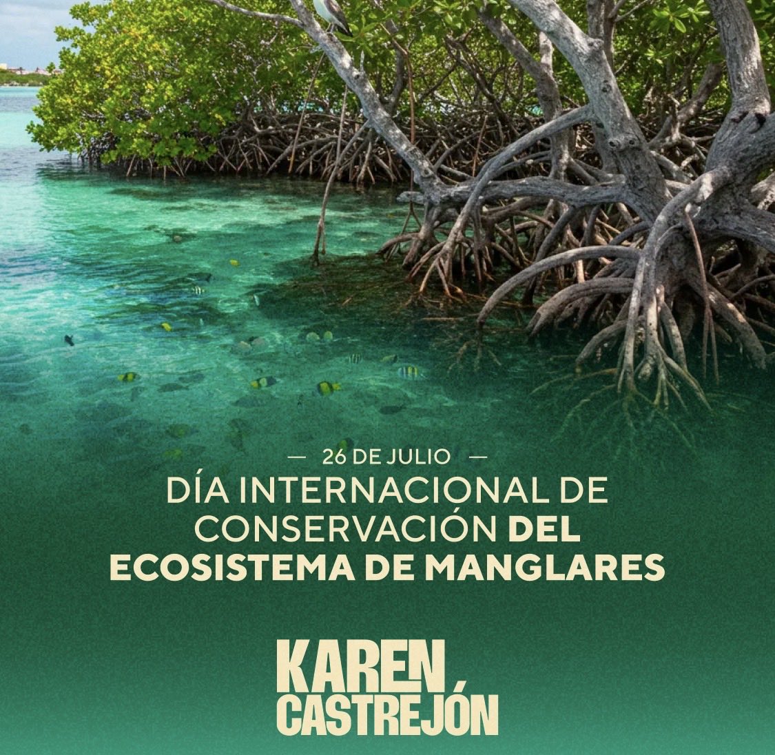 karencastrejont's tweet photo. Hoy en el día mundial de las manglares, es importante recordar el valiosisimo papael que desempeñan como barrera natural contra fenómenos climatológicos como huracanes y tormentas tropicales  🌊

Cuidarlos y preservarlos es fundamental. https://t.co/9ow8tHmWdE