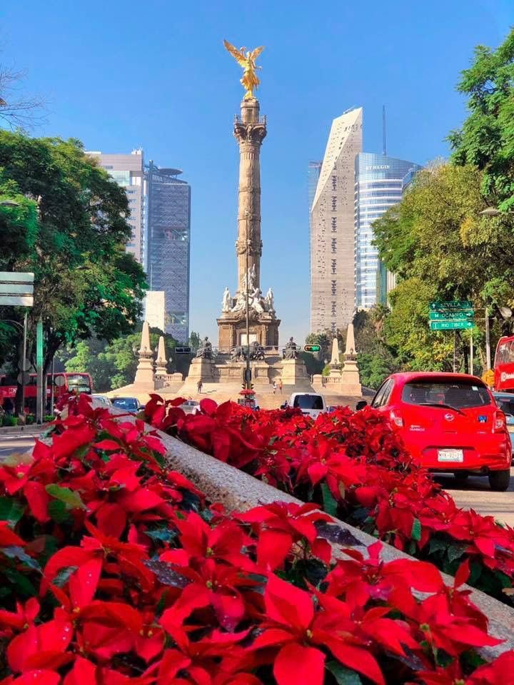 NazeerYousaf6's tweet photo. Mexico city https://t.co/26Dq1XSpUP