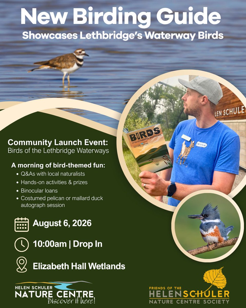 DiscoverItHere's tweet photo. Be among the first to grab a copy of Birds of the Lethbridge Waterways! 

Meet naturalists, borrow binoculars, test your bird knowledge, win prizes, and watch for a costumed pelican or mallard duck signing copies. 

 📅 Aug 6 | 🕙 10 am | 📍 Elizabeth Hall Wetlands https://t.co/Uc1jRKDDrT
