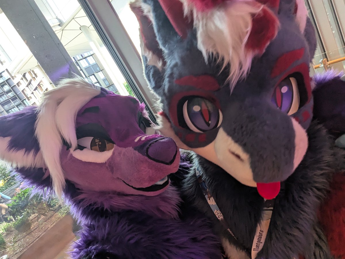 Shiro🦇 | Kagerou🐱 tweet media