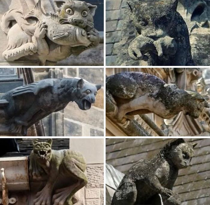 LeoDaVinciWave's tweet photo. Medieval and gothic cat gargoyles (and grotesques) carved onto historical European churches and cathedrals. https://t.co/4ZTrMMo7rh
