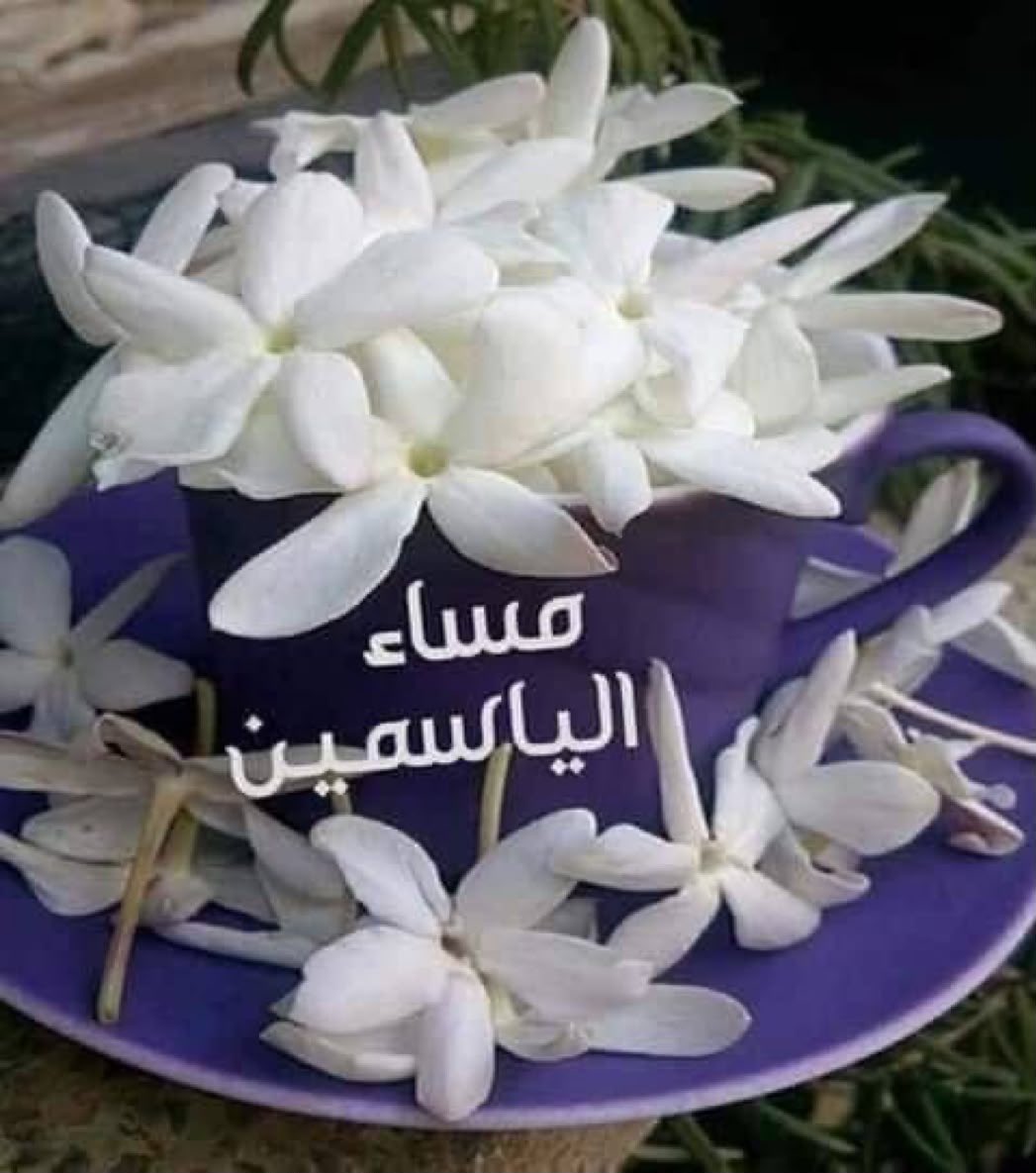 dl35000g's tweet photo. أزرع بقلبك أشخاص يشبهون الياسمين 
  فالياسمين  لاشوك له
 يهدي عبيره لكل الناس بدون إستثناء
 يقولون أشجار الياسمين لا تتعب أحداً في البحث عنها لأن عبيرها وعطرها
 يدل عليها ،
كذلك بعض البشر يعرفهم الناس بما يفوح من عظمة مواقفهم وطيب أفعالهم 
وجميل عباراتهم
مساء الفل والياسمين

#نبض_الوناسه_للدعم