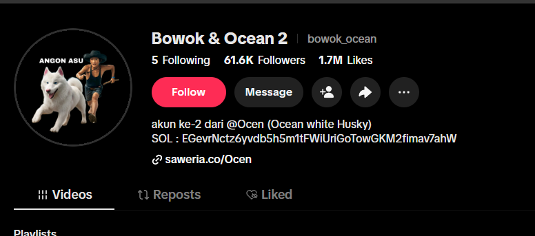 mintmaxxerfreak's tweet photo. he just added a wallet in his bio

coin went to 1.2M with no onboarding https://t.co/r9CZ1c12Gz
