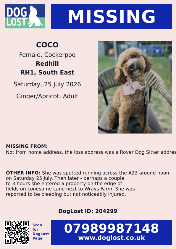 millypod1's tweet photo. π25 JULY 2026 #Lost Coco #ScanMe
Cockerpoo Female
FROM DOGSITTERS #Redhill #Surrey #RH1
SIGTINGS: #A23 Sat 25 July. Then she entered a property on the edge of fields on Lonesome Lane next to Wrays Farm. Reported to be bleeding but not noticeably injured.
https://t.co/ozzPd6Mk6e https://t.co/9ilQzBDfkl