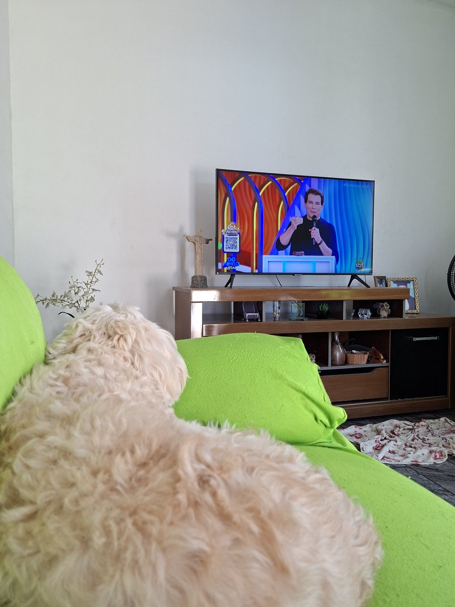 natmoraes_s's tweet photo. Clarinha assistindo seu programa favorito de domingo 🤣 @Domingo_Legal @celsoportiolli https://t.co/ze0gA788Un