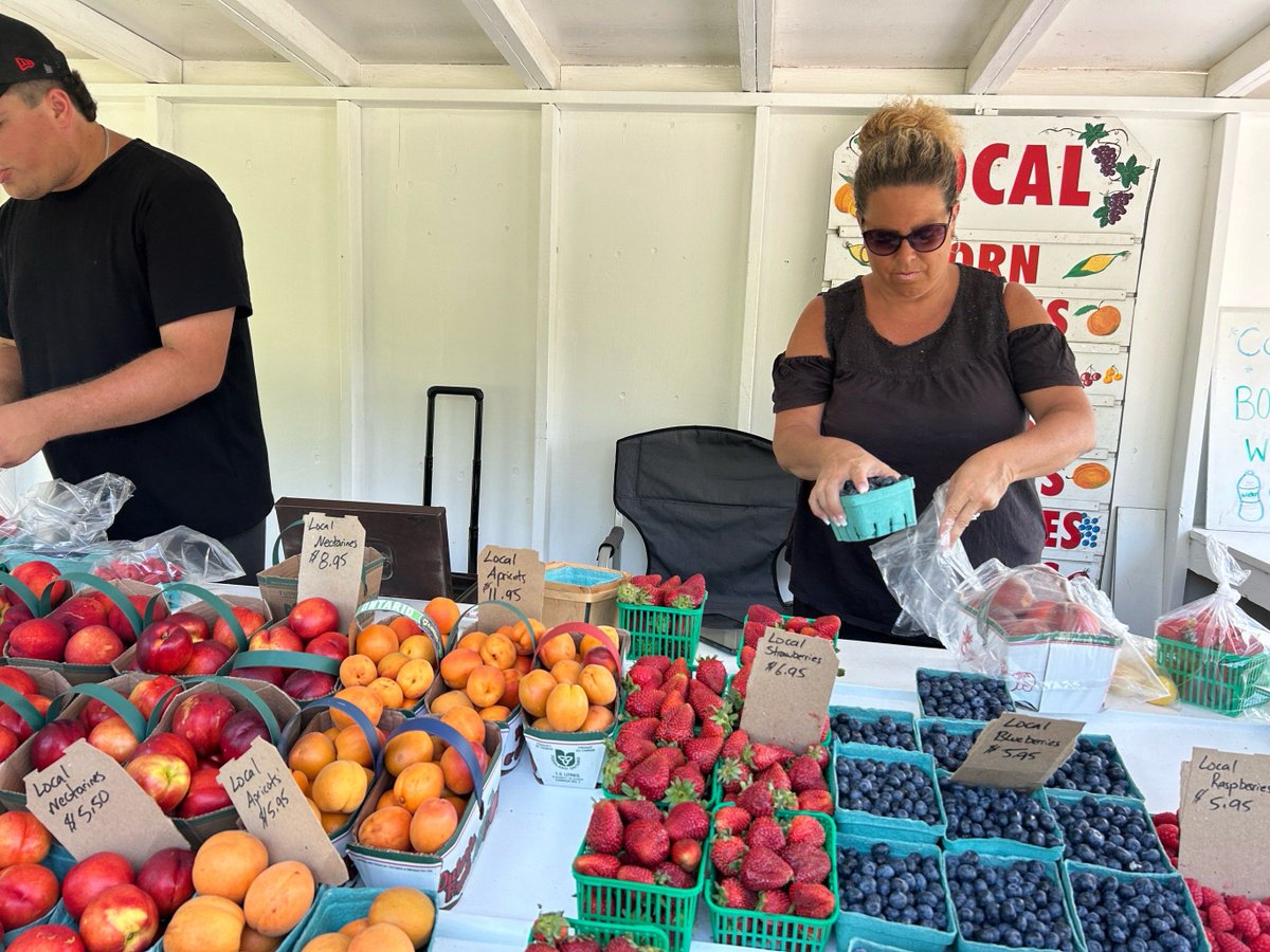 MarianoTalsrxj's tweet photo. Fresh, local cherry tomatoes u0026 crisp romaine lettuce restocked at the neighborhood farm stand – perfect for your weeknight salads or quick appetizers! Grab them before they’re gone today. https://t.co/1zGWKzgGrW
