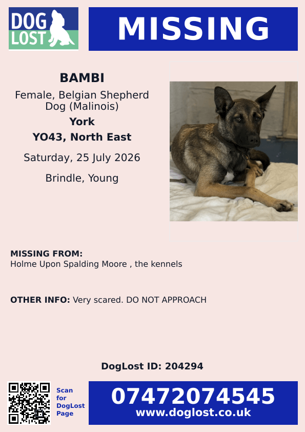 millypod1's tweet photo. π25 JULY 2025 #Lost Bambi #ScanMe
YOUNG Belgian Shepherd Dog (Malinois) Female
The Kennels Holme Upon Spalding Moore
#York #Yorkshire #YO43
https://t.co/9XydWFcngb https://t.co/uKXdjKUn2y