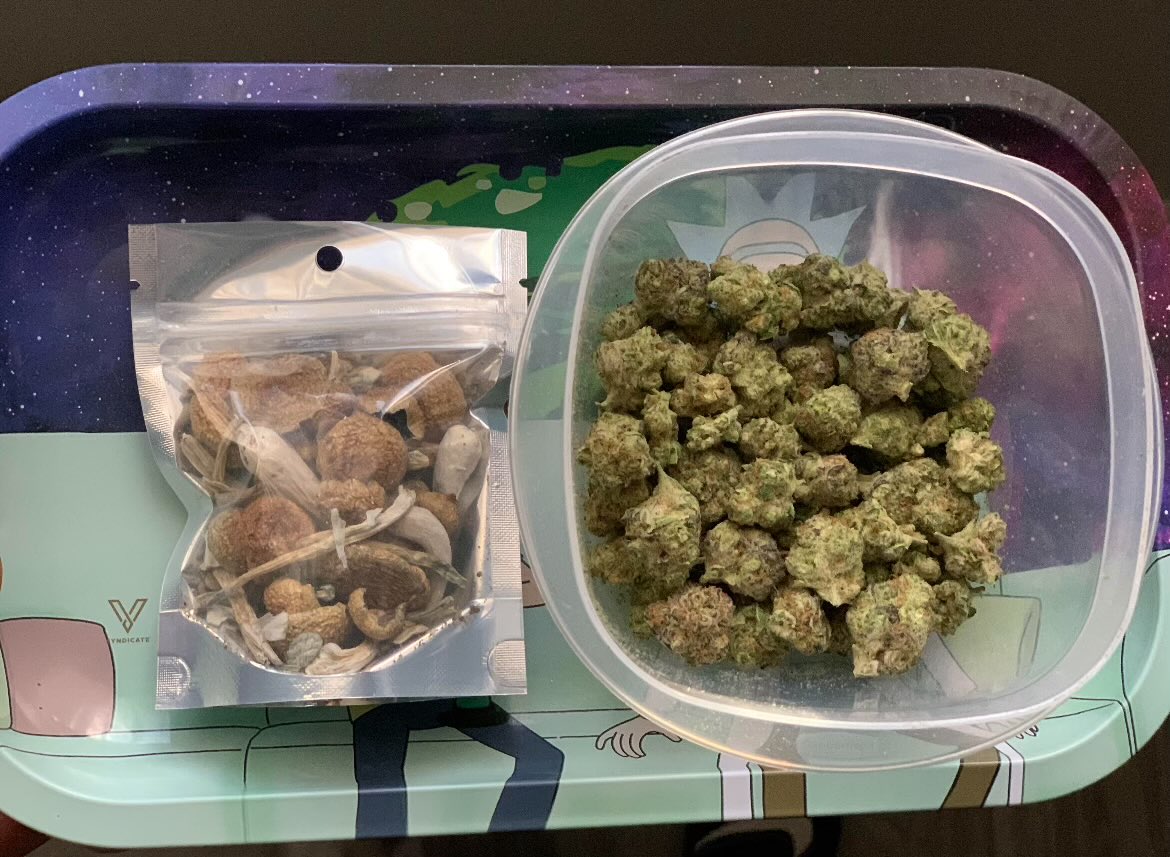 slckpinar's tweet photo. 🍄+🍀 https://t.co/lsEczsv5cG