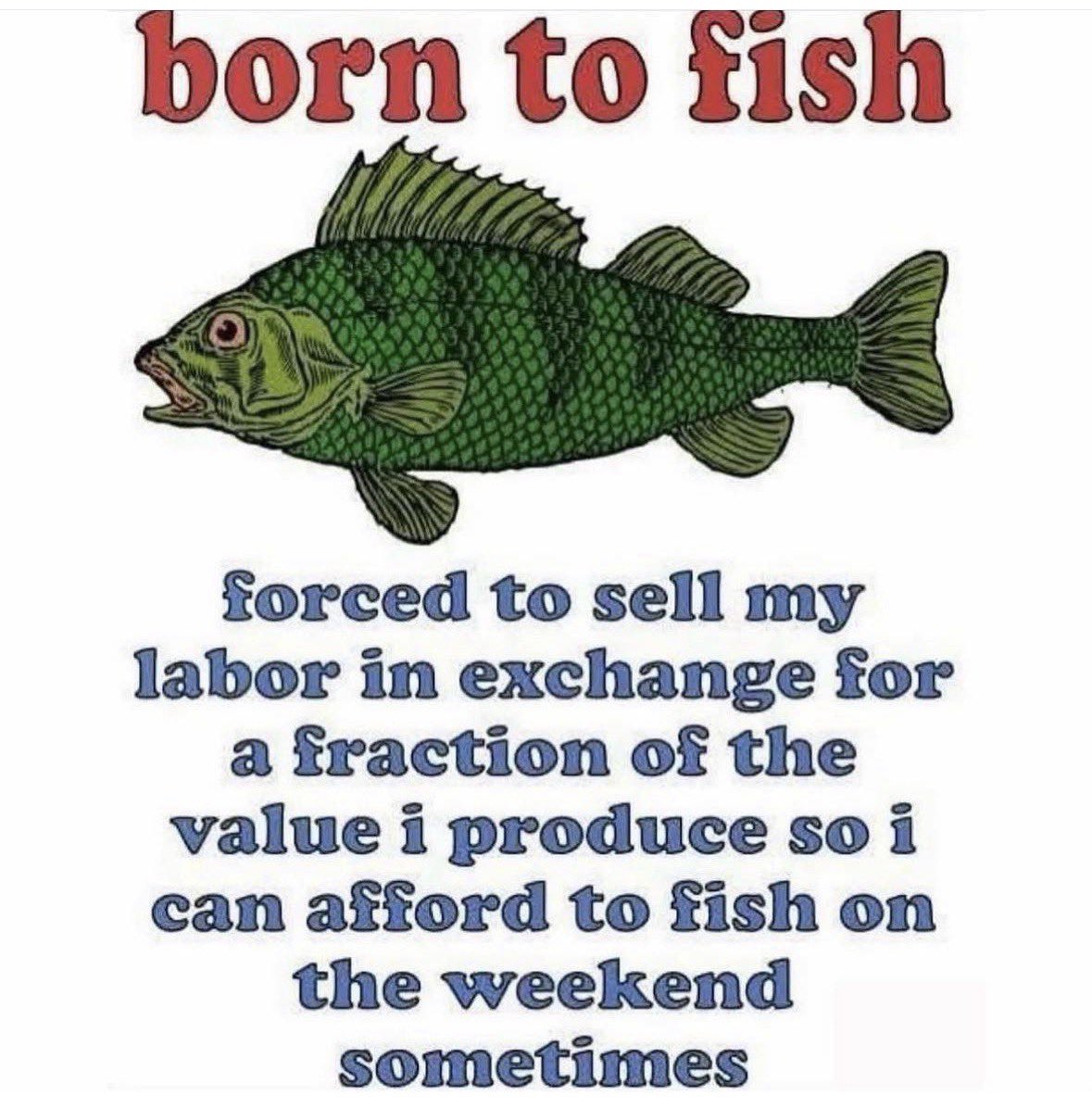 RespectfulMemes's tweet photo. https://t.co/SGxNDmByOI