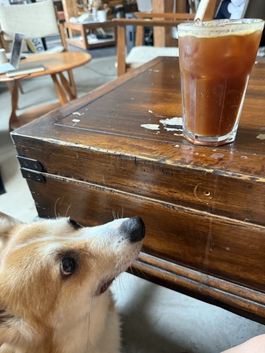 elffa_life's tweet photo. Weekend coffee today at a hippie and cool spot. 

Typist Coffee 

Quite a few people, most people working on their laptops. The AC is strong and dog friendly. 

Ordered tonic espresso and egg bacon on English muffin. real bacon 🥓 😋 

$15.50

Vibe ⭐️ 7/10
Food ⭐️ 6/10 https://t.co/xULdapQOQj