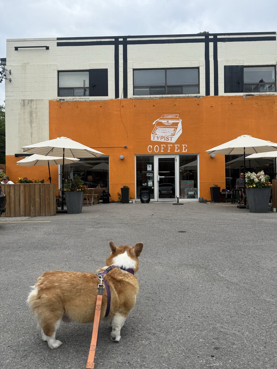 elffa_life's tweet photo. Weekend coffee today at a hippie and cool spot. 

Typist Coffee 

Quite a few people, most people working on their laptops. The AC is strong and dog friendly. 

Ordered tonic espresso and egg bacon on English muffin. real bacon 🥓 😋 

$15.50

Vibe ⭐️ 7/10
Food ⭐️ 6/10 https://t.co/xULdapQOQj