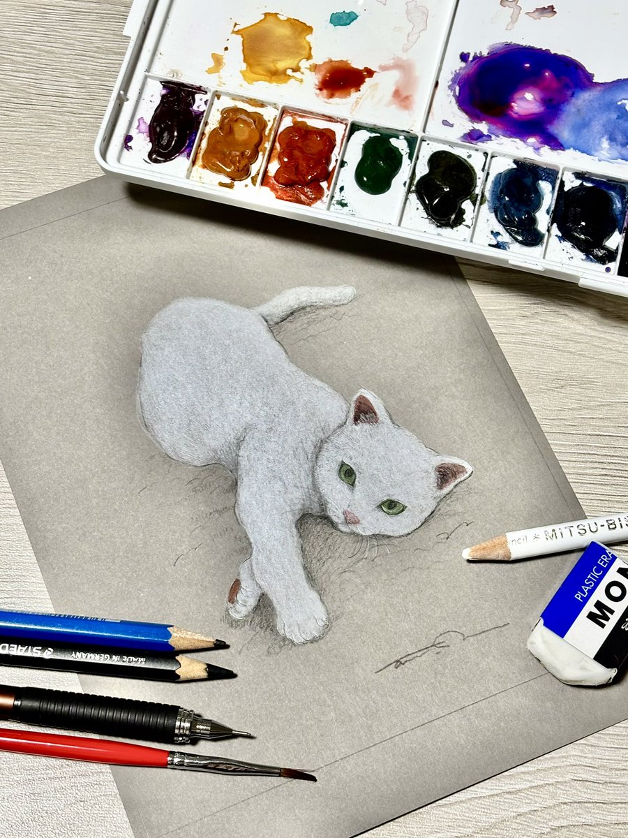 mal_mellow's tweet photo. 動物の練習と表現の研究をしてます。
友達の愛猫🐈 https://t.co/xfcuzhVx3O