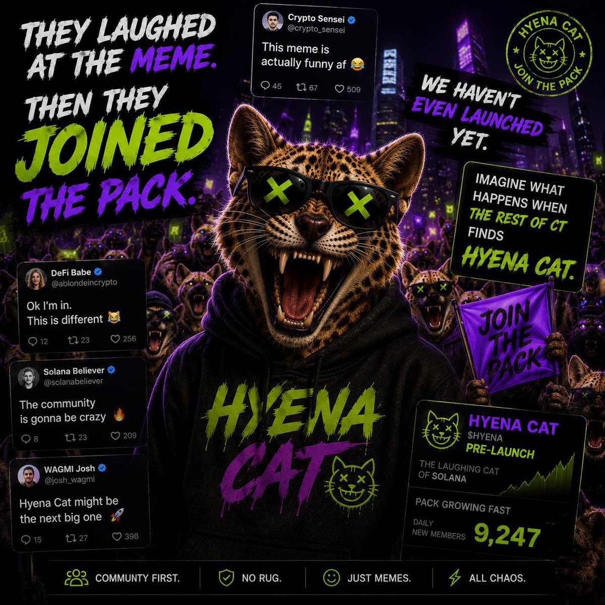 Hyena Cat Sol tweet media
