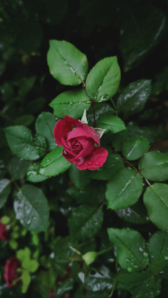 _____meeem's tweet photo. Beauty is everywhere. The problem isn't the scenery—it's the observer.👀 https://t.co/idqt3ACpya