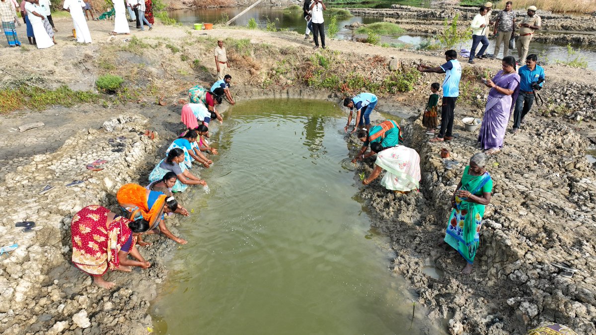 DirectorMission's tweet photo. 🌿 World Mangrove Day 2026

On International Mangrove Conservation Day, Thiru. K. J. Praveen Kumar, I.A.S., District Collector, Nagapattinam, led a mangrove plantation drive at Sembodai Village with Thiru. D. Rameshwaran, I.F.S., Wildlife Warden, Nagapattinam Wildlife Division. Alongwith 180 volunteers and 50 departmental staff participated, took the Mangrove Conservation Oath, and planted saplings using the Fishbone Structure Mangrove Plantation Method. The programme strengthened public awareness and community participation in protecting mangroves—our Ecological Infrastructure that safeguards coasts, biodiversity, livelihoods, and climate resilience.

#WorldMangroveDay #Mangroves #Nagapattinam