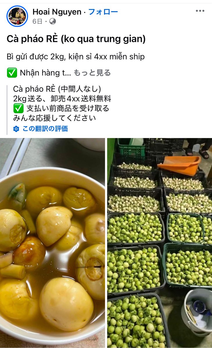 lico337's tweet photo. 塩漬けのカーファオ(ベトナム小茄子)などをネットで売る、長崎県島原市在住ベトナム人🇻🇳

政府は、お婆ちゃんの梅干しを販売できなくしたんですから、自作の漬物をネット販売する不法な移民をすぐに捕らえて、生まれた国に返してください！ https://t.co/SVMMCfp71b